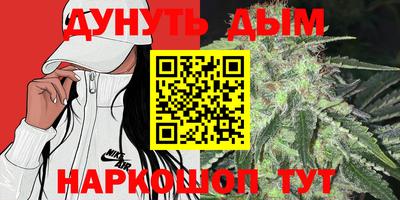 мдпв Дубна